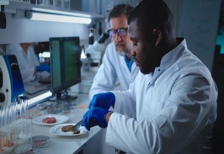 Two scientists tasting a lab-grown meat patty, developing an optimal product.